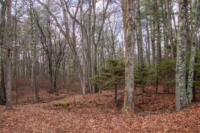 99 Old Washington St, Pembroke, MA 02359 - photo 1