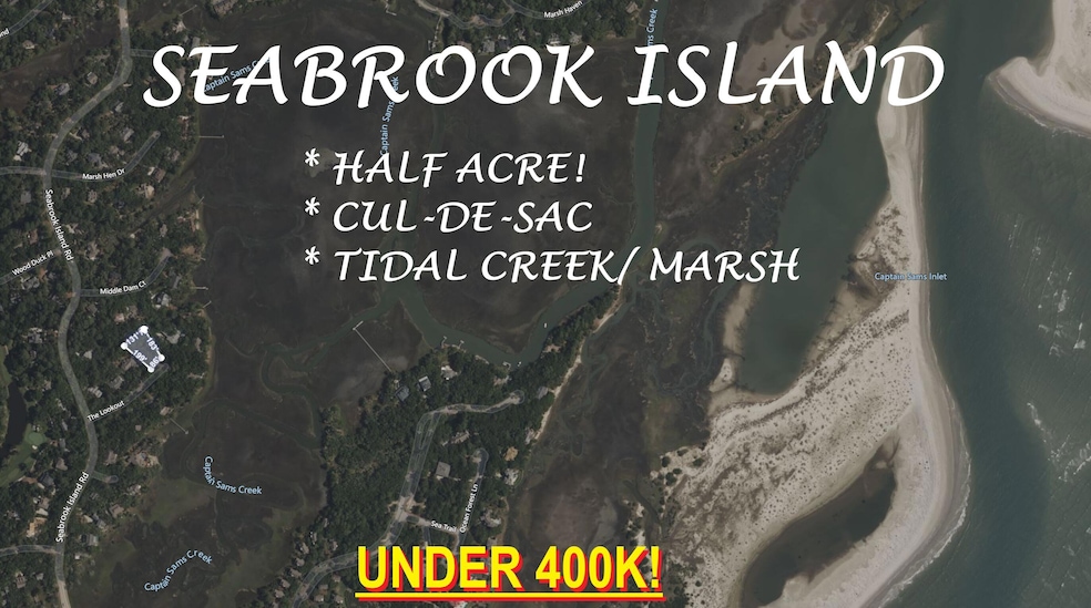 3308 the Lookout, Johns Island, SC 29455 - photo 1