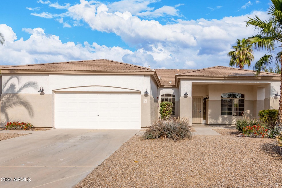 01 Smoke Tree 74