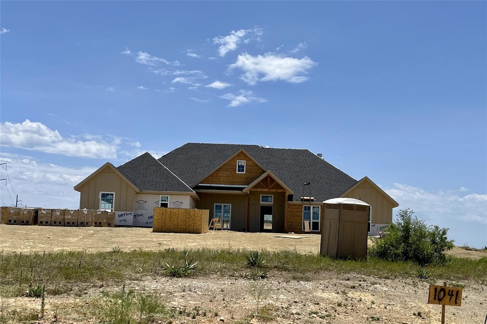 1041 Lilly Ln, Weatherford, TX 76088 - photo 1
