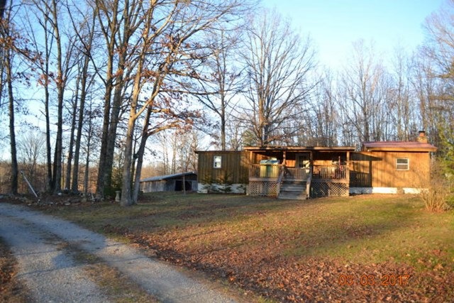 Main View