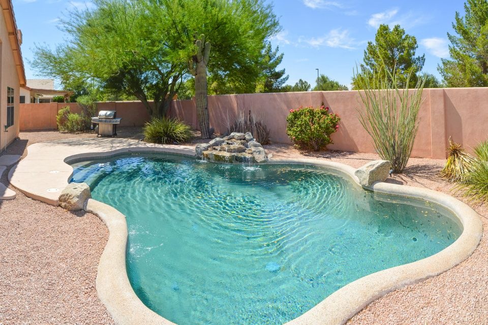 19 Back Yard