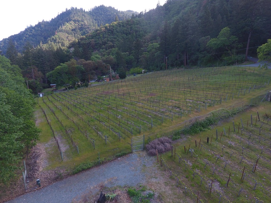 DJI_0601