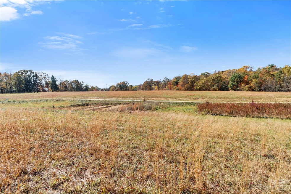 116 Scott Meadows Dr, Asheville, NC 28806 - photo 1