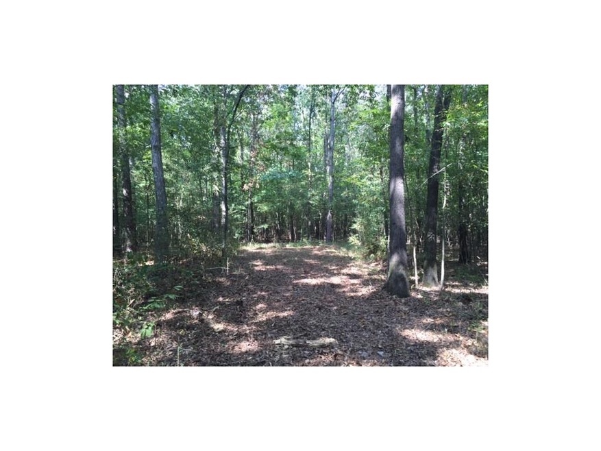 0 Dobson Rd NW, Sugar Valley, GA 30746 - photo 1