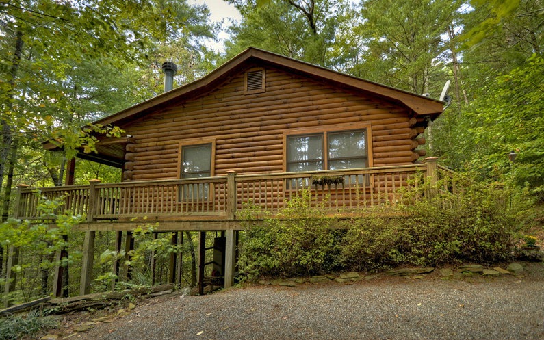 Main View