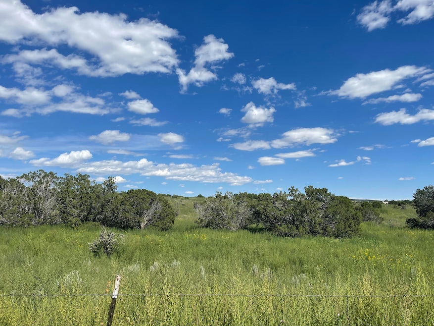 0 Frost & Tumbleweed W2nw4sw4 unit 1081302, Sandia Park, NM 87047 - photo 1