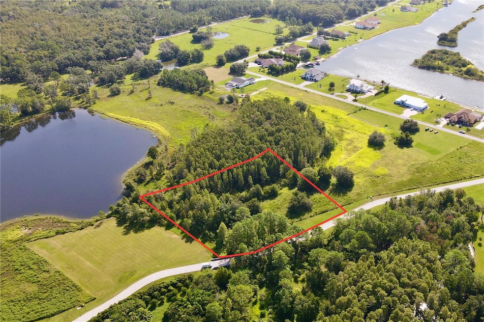 0 Outlaw Way unit MFRTB8423543, Land O Lakes, FL 34639 - photo 1