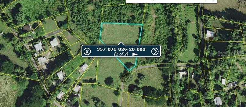 0 Barrio Llanos Tuna unit MFRPR9117242, Cabo Rojo, PR 00623 - photo 1