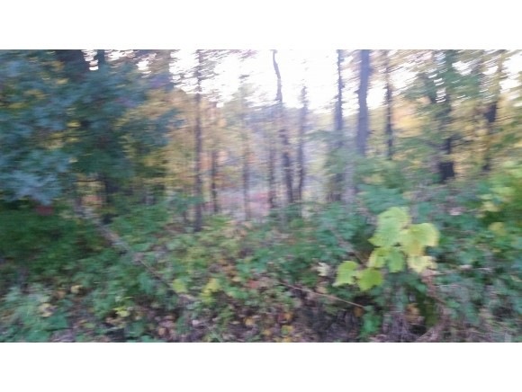 0 N Military unit 50131599, Waupaca, WI 54981 - photo 1