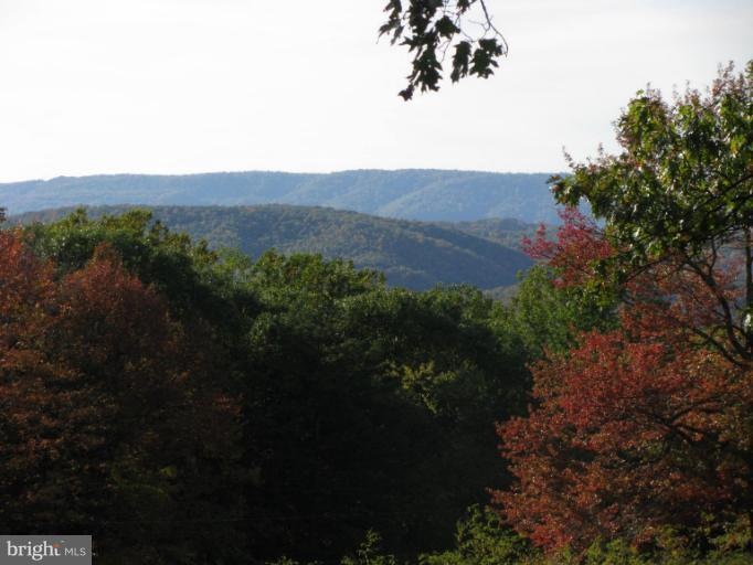 0 Spring Gap Rd unit 1004622236, Slanesville, WV 25444 - photo 1