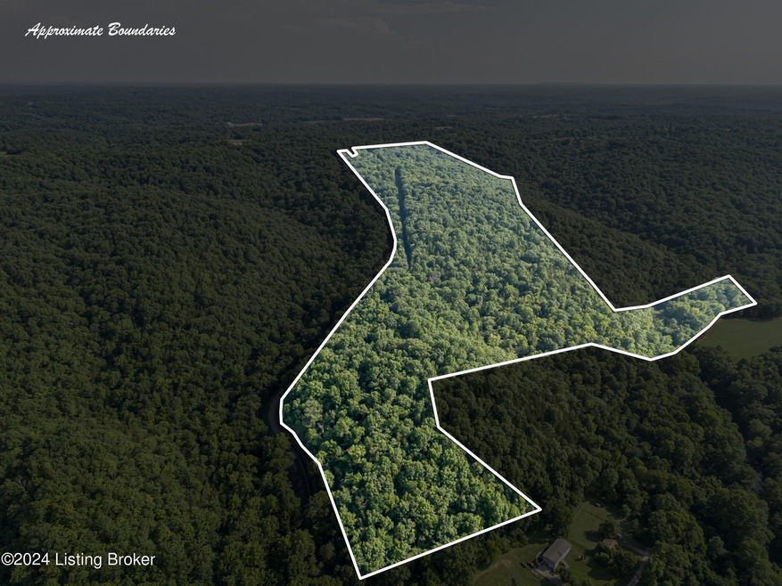 DJI_20240712175508_0690_D 1