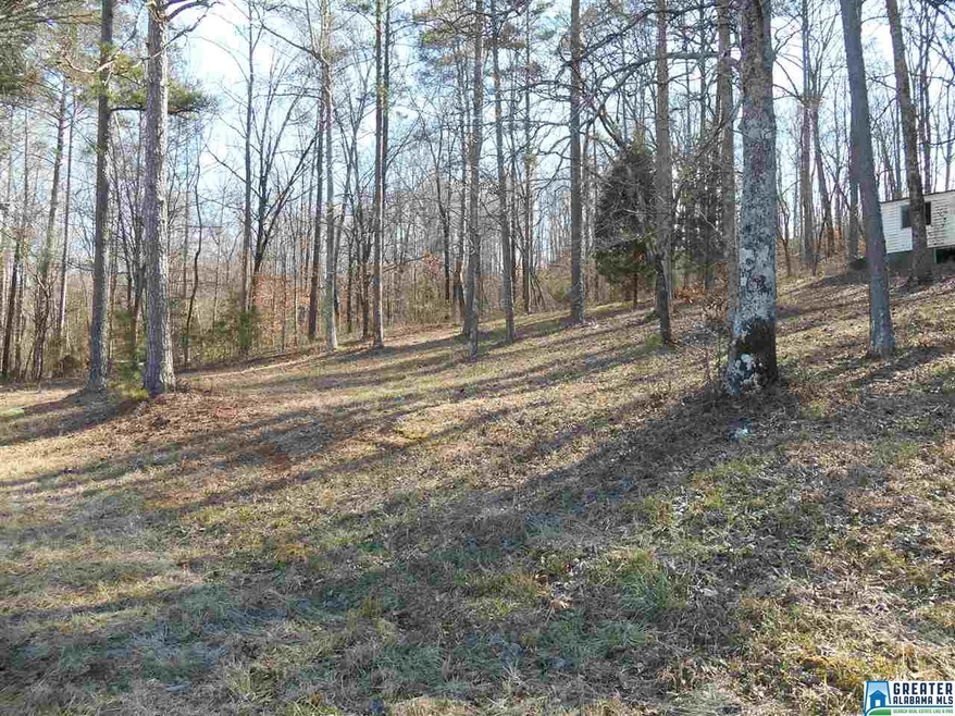 house site overlooking pasture