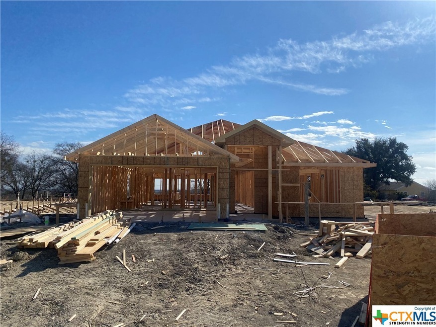 1013 Coriander Rd, Temple, TX 76501 - photo 1