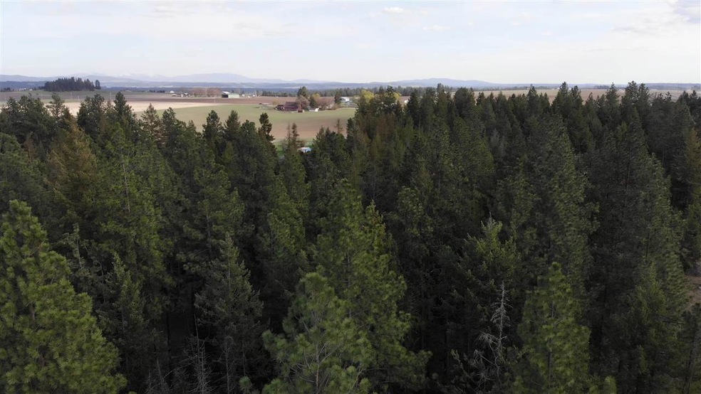 00 W Akers Ln, Colbert, WA 99005 - photo 1