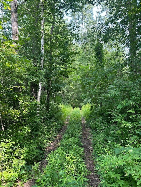 0 Chambers Rd unit 20251016801, Mayville, MI 48744 - photo 1