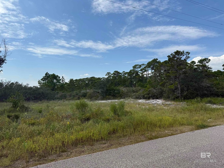 0 W State Highway 180 unit Lots 14-15-16 385011, Gulf Shores, AL 36542 - photo 1