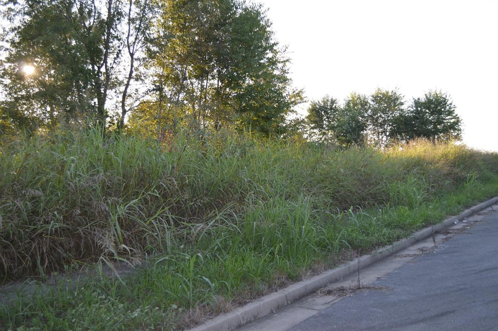 105 Gwinn Island Rd, Danville, KY 40422 - photo 1