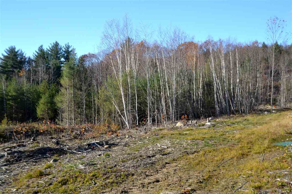 1263 E Madison Rd, Madison, NH 03849 - photo 1