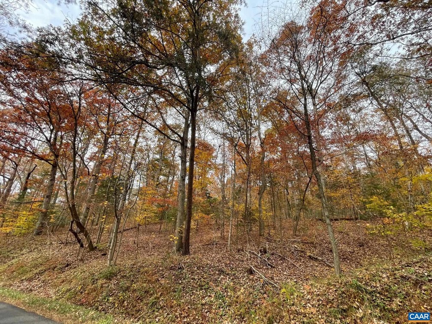 TBD1 Chapman Rd, Stanardsville, VA 22973 - photo 1