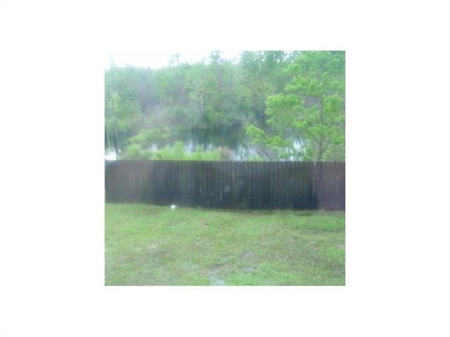 Backyard.