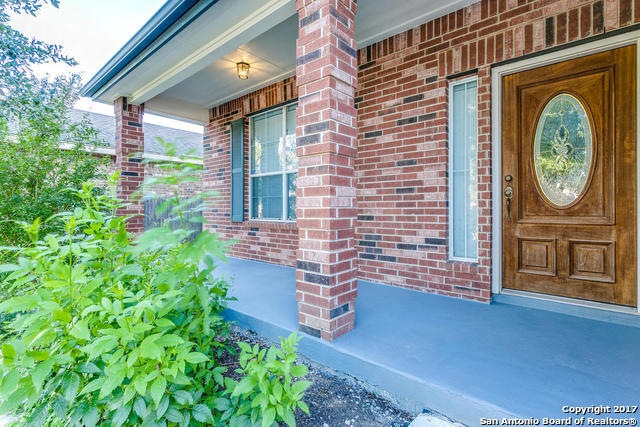 24507 Alamosa Falls, San Antonio, TX 78255 - photo 1