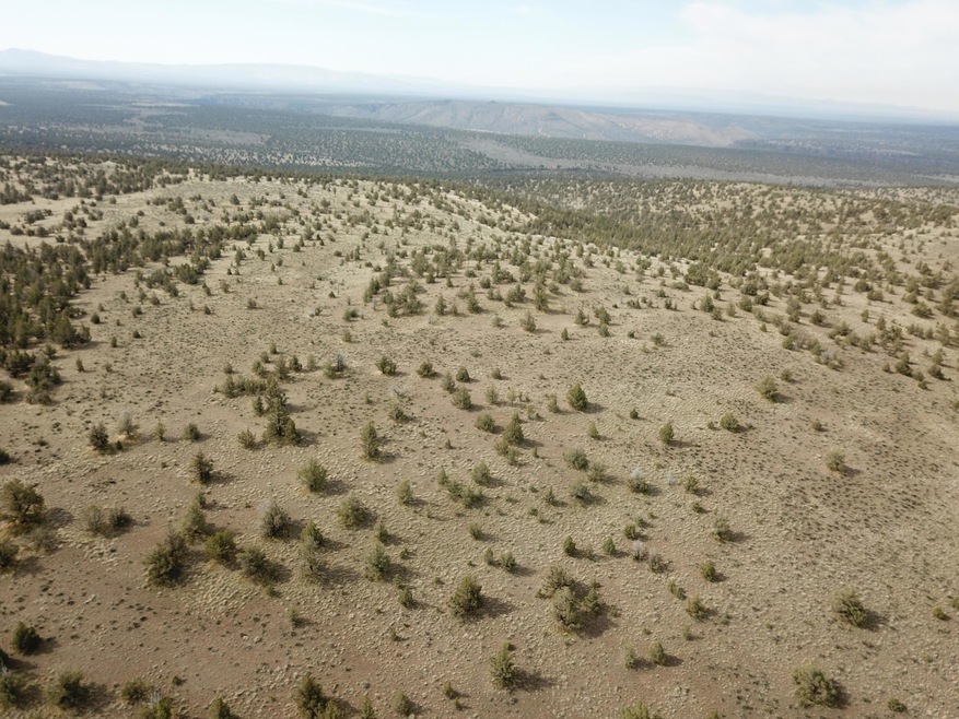Stearns Land Company (31)