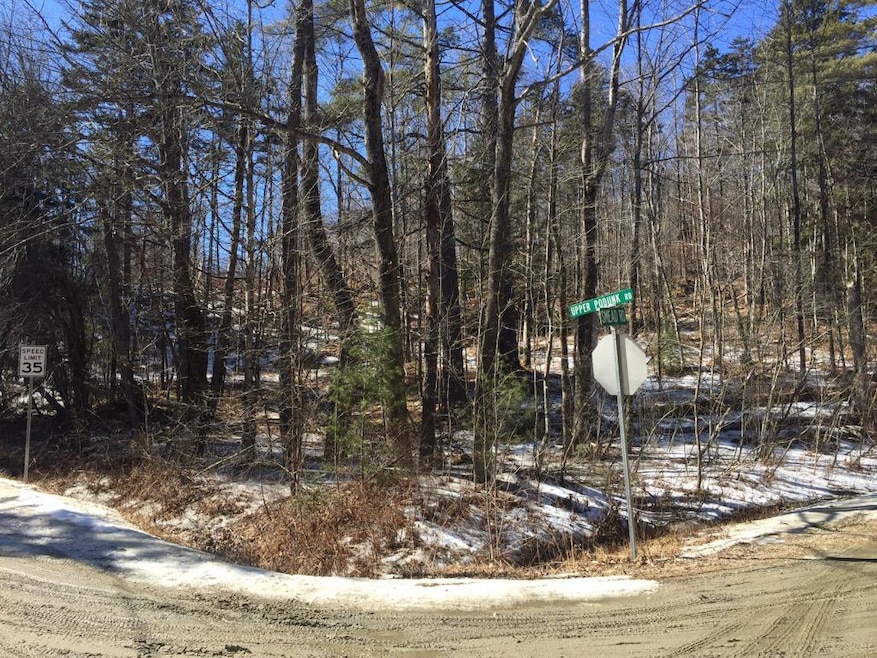 0 Upper Podunk Rd unit 4474759, Wardsboro, VT 05360 - photo 1