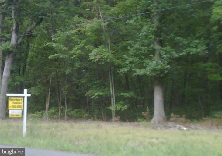 5701 Doyle Rd, Clifton, VA 20124 - photo 1