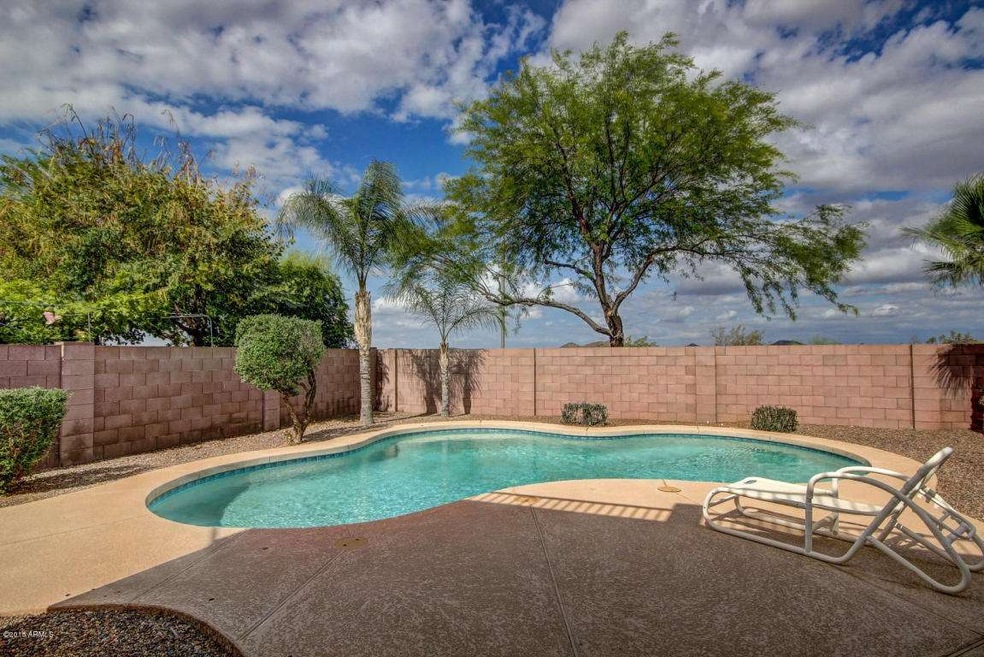 Awesome Pool to relax in