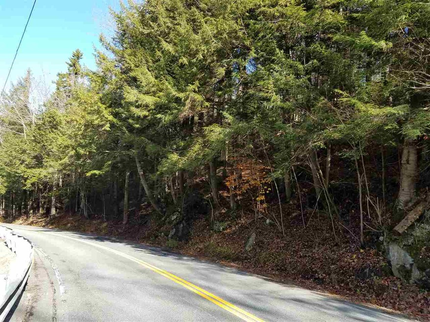 2.6 Halls Brook Rd, Groton, NH 03266 - photo 1