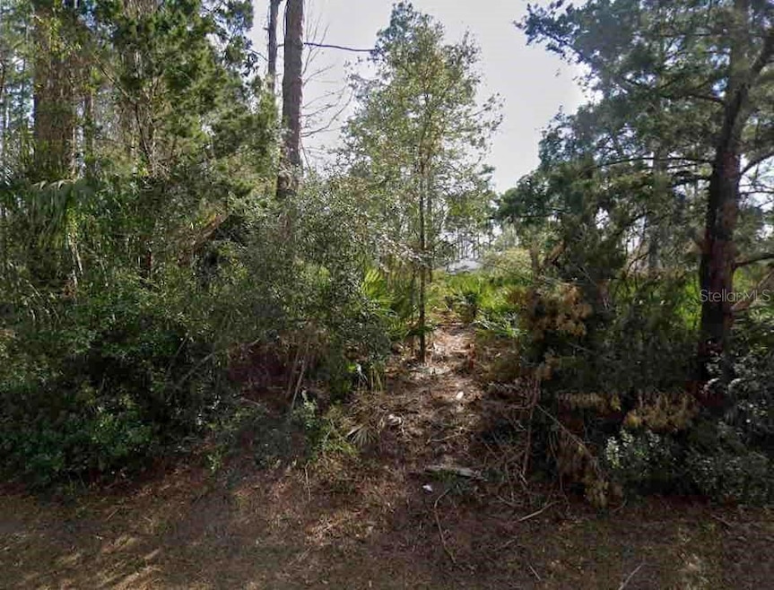 14 Second Path, Palm Coast, FL 32164 - photo 1