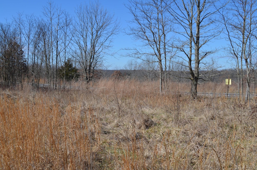 DSC_0394_2644