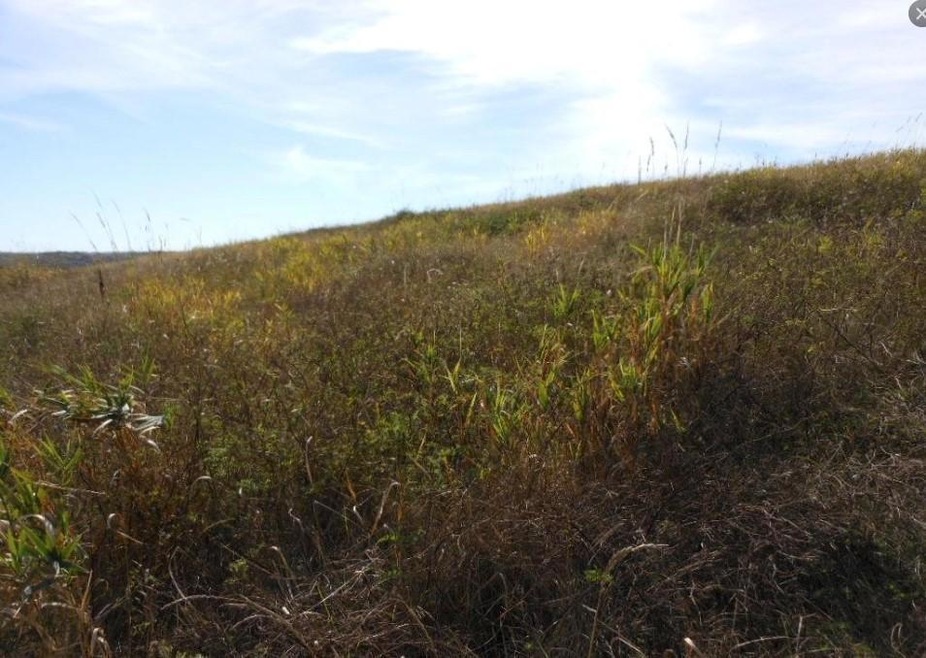 75 Buck Ridge Dr, Winona, MN 55987 - photo 1