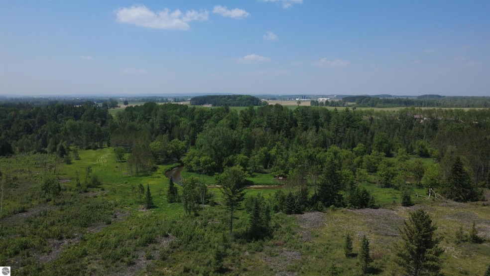 Off of Gallagher Rd, West Branch, MI 48661 - photo 1