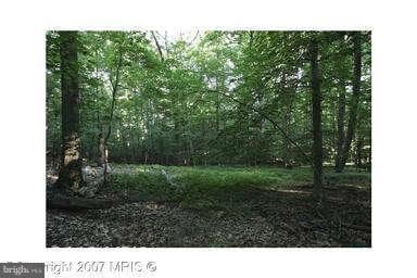 7118 Saunders Ct, Bethesda, MD 20817 - photo 1