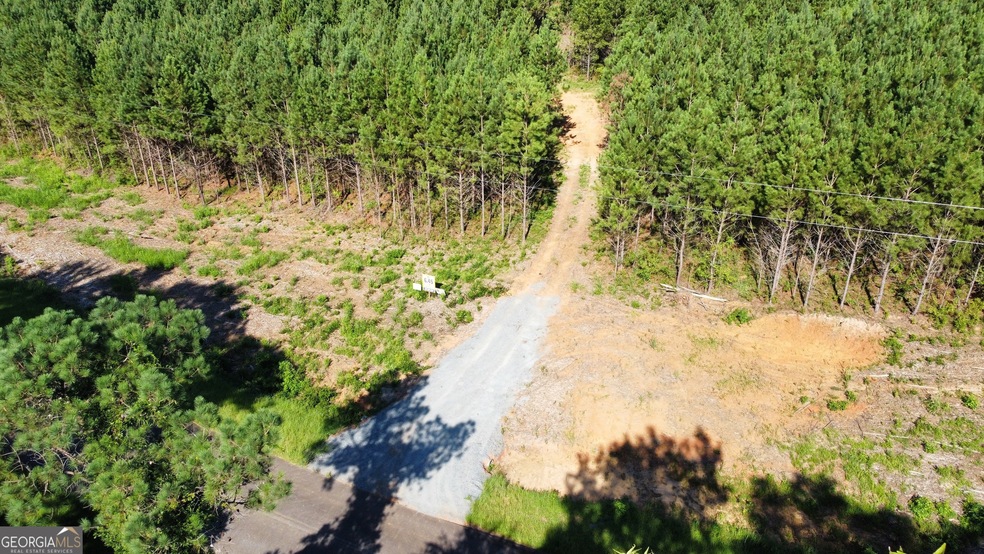 463 Bagley Rd, Forsyth, GA 31029 - photo 1