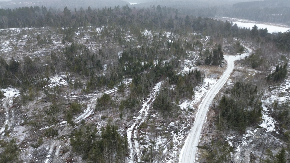 DJI_0442