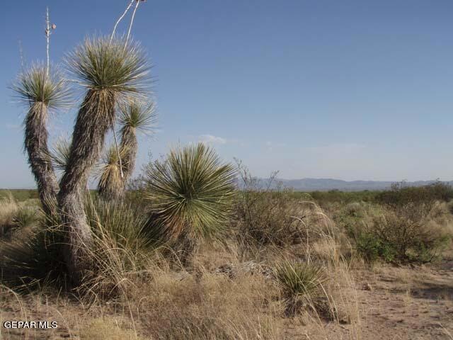 01-Photo 1