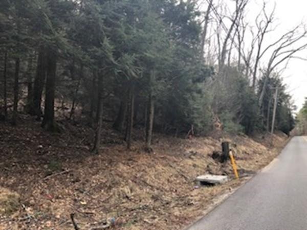 250 Brookfield Rd, Sturbridge, MA 01518 - photo 1