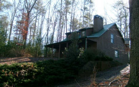 Main View