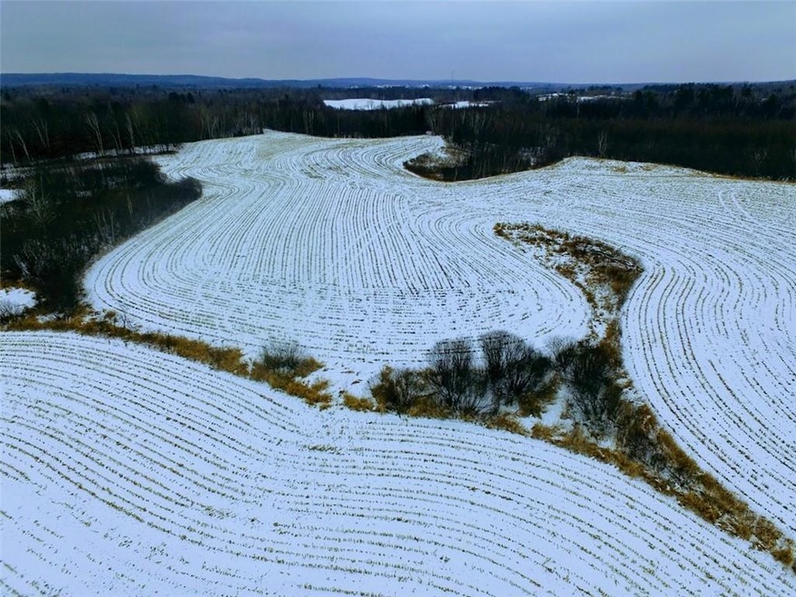 0 Olesiak Rd unit 1570427, Strickland, WI 54895 - photo 1