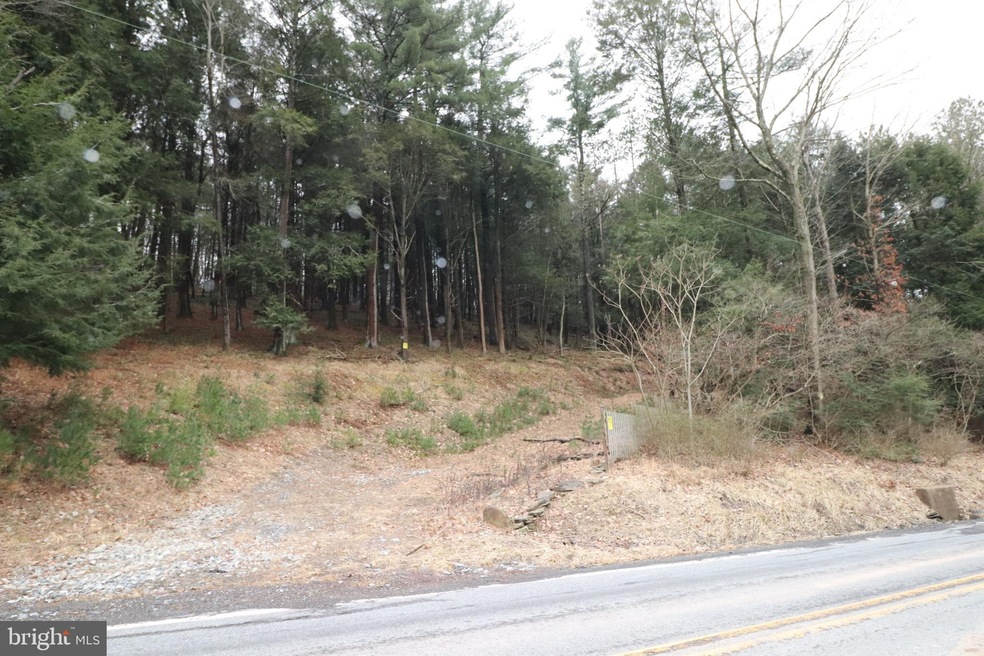 0 Spruce Hollow Rd unit PACC2001074, Palmerton, PA 18071 - photo 1