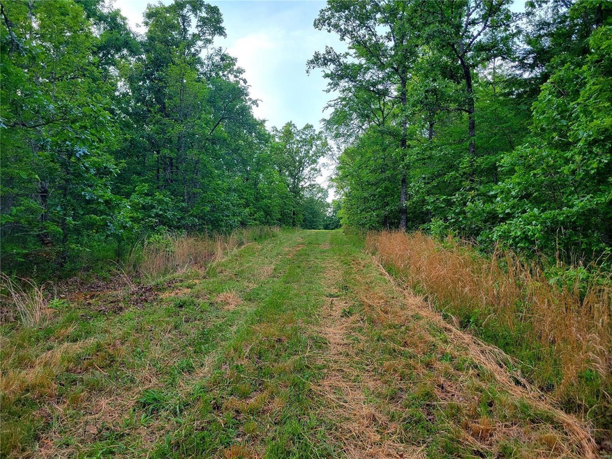 0 County Road 456, Beaver Dam Township, MO 63901 - photo 1