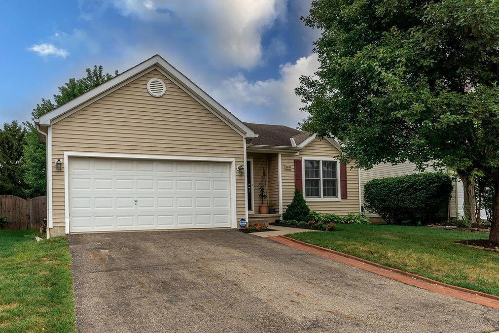 6693 Laburnum Dr, Canal Winchester, OH 43110 - photo 1