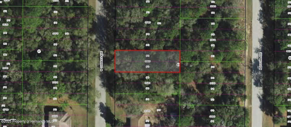 267 N Charles (Lots 66 & 67) Ave, Inverness, FL 34453 - photo 1