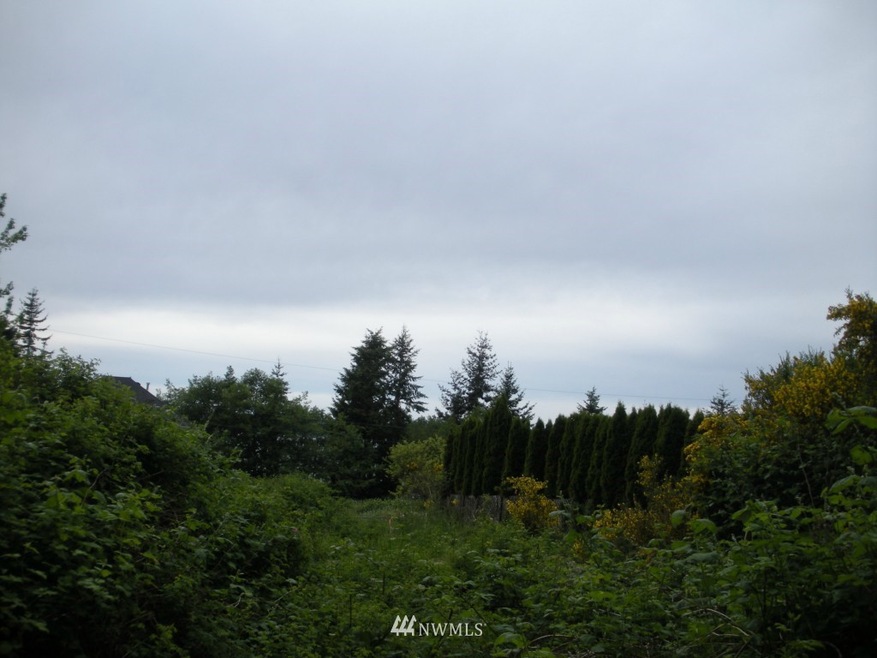 96th Scoraill Ave NW, Stanwood, WA 98292 - photo 1