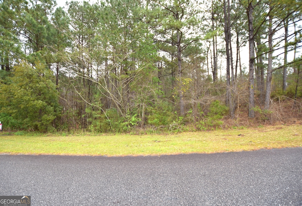 116 Nautica Point, Macon, GA 31220 - photo 1