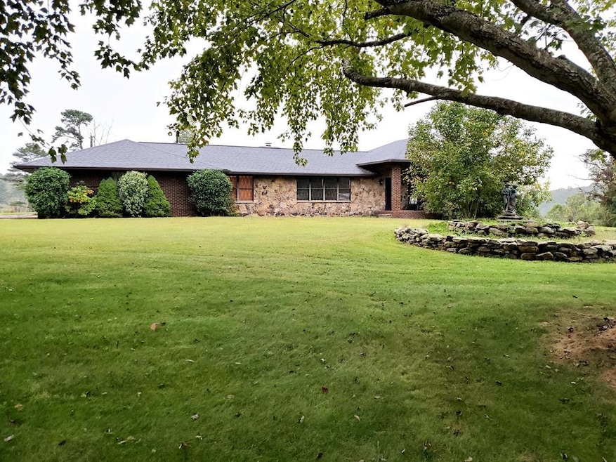 Main View