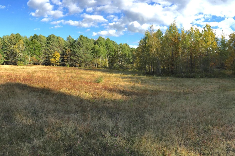 Field